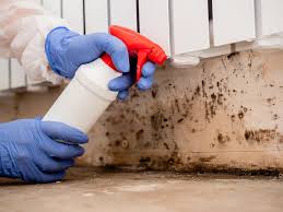 Best Real Estate Mold Inspection  in La Grulla, TX